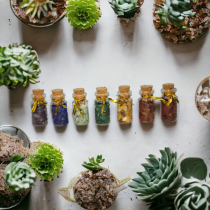 7 Chakra Crystal Healing Bottles: Energize Your Loved Ones with Natural Gemstones